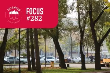 Alberature urbane tra conflitto e responsabilità. Un metodo integrato di pianificazione, gestione e comunicazione