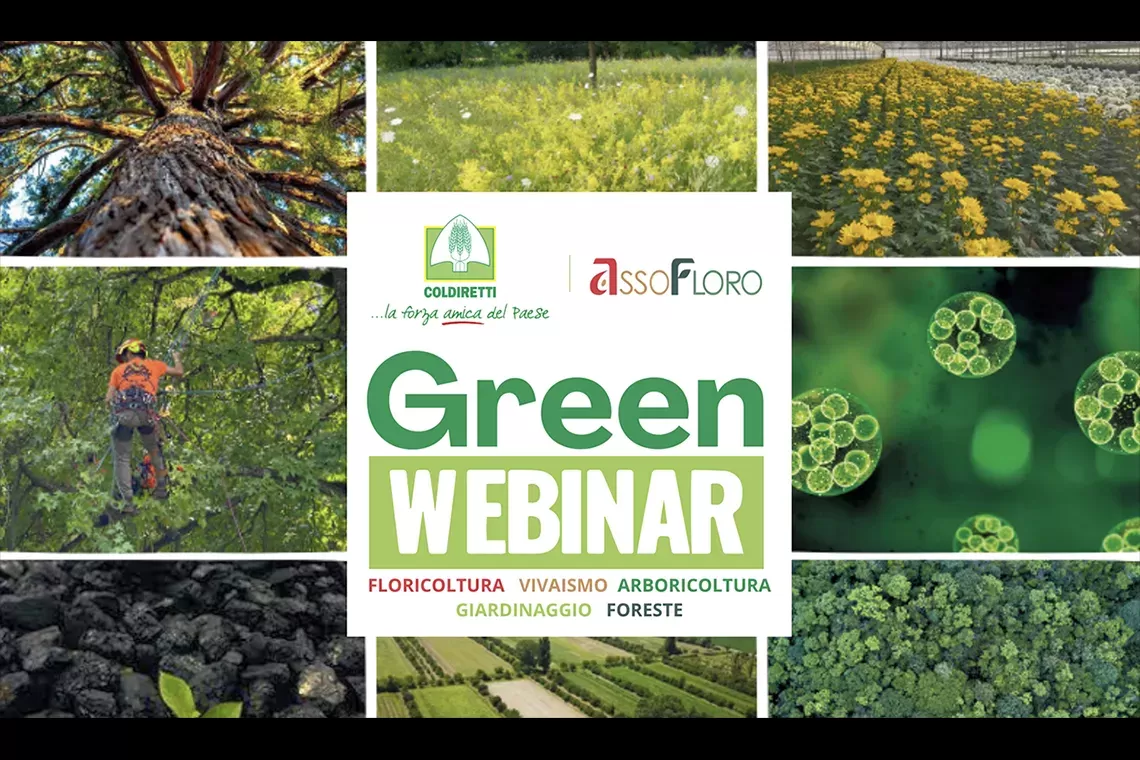GreenWebinar: al via gli incontri tecnici gratuiti su vivaismo, arboricoltura, verde ornamentale e forestazione