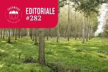 Clima, CO₂, e specie a rapido accrescimento