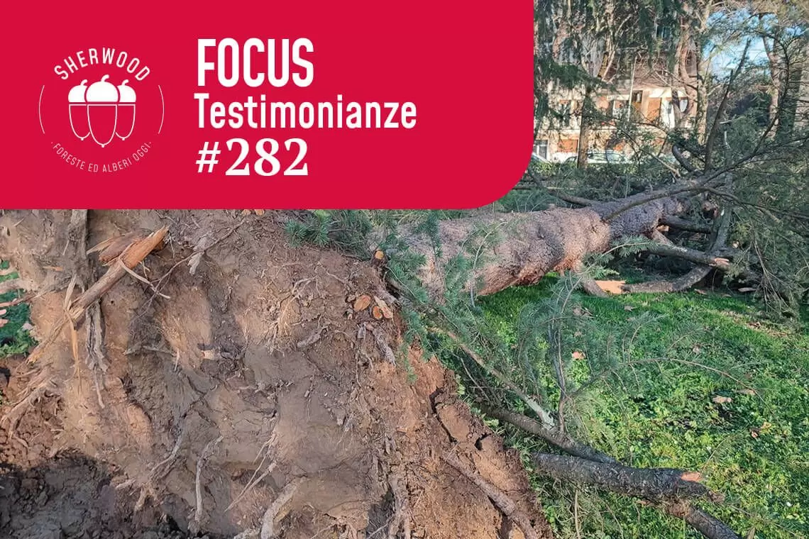 Tra responsabilità tecnica e sfiducia: occorre più collaborazione