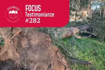 Tra responsabilità tecnica e crisi di fiducia: occorre più collaborazione in questa fase di tensioni e incomprensioni