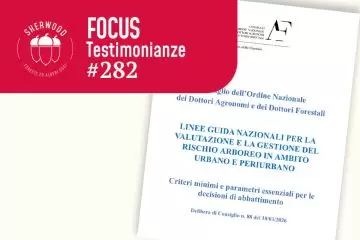 Nuove Linee Guida CONAF per la gestione del rischio arboreo in ambito urbano e periurbano: uno strumento fondamentale