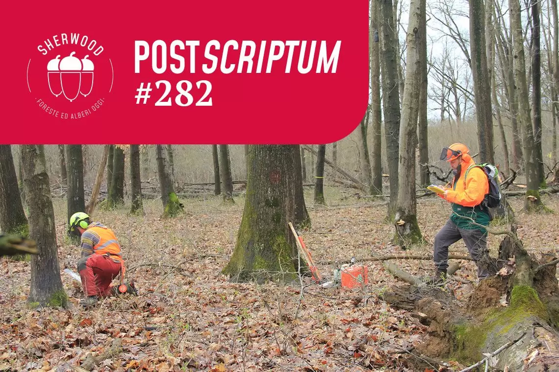 Alto valore aggiunto nella formazione forestale con il 4+2