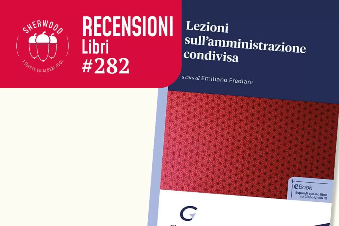 Foreste e amministrazione condivisa nel volume di Frediani
