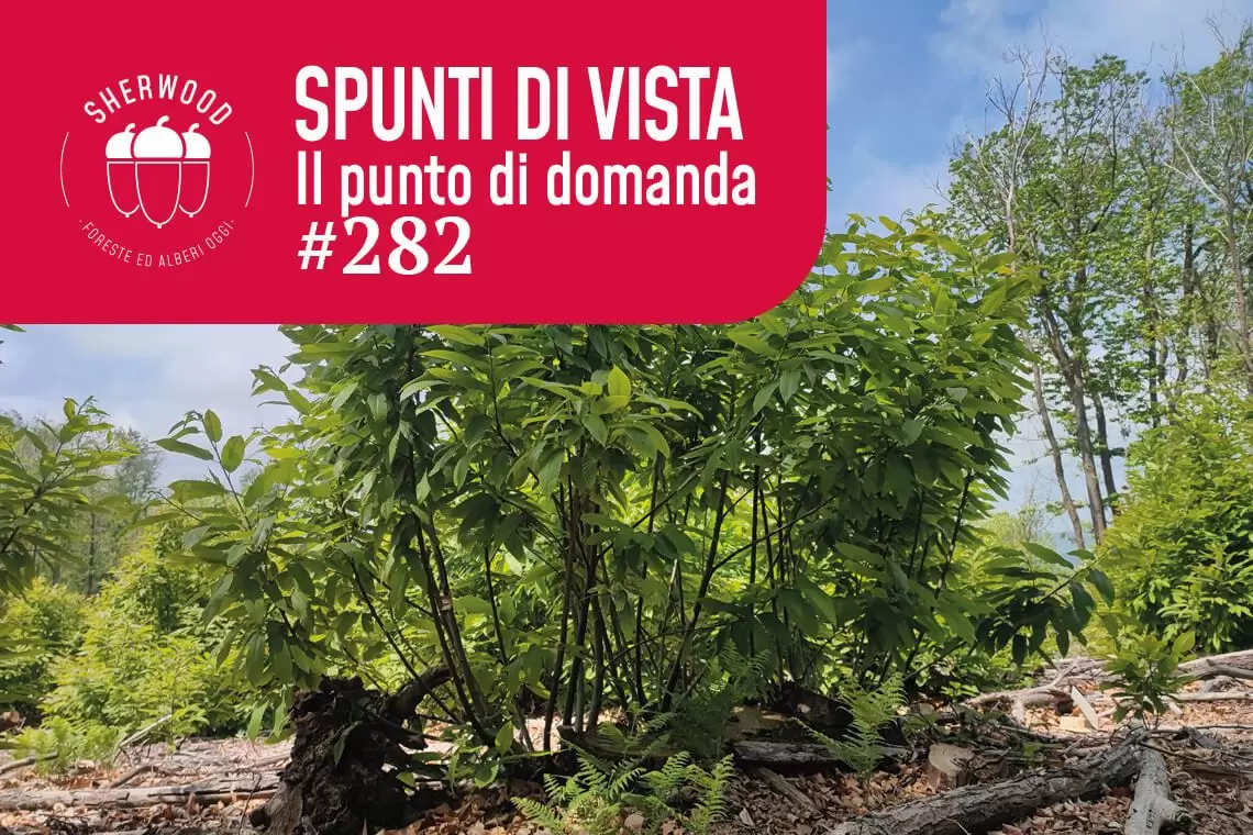 State of Europe’s Forests e coerenza sui dati relativi ai cedui