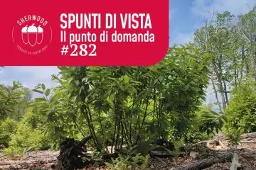 State of Europe’s Forests e coerenza sui dati relativi ai cedui