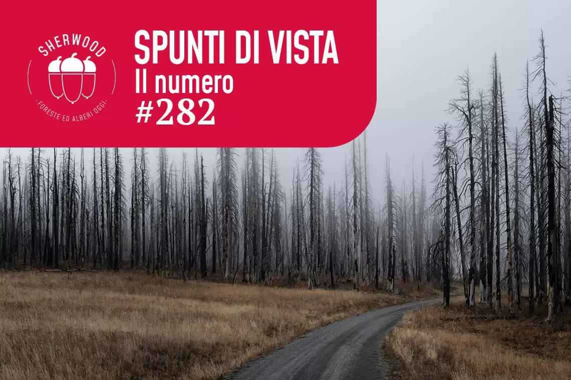 Disturbi naturali in aumento del 122% nei prossimi 80 anni