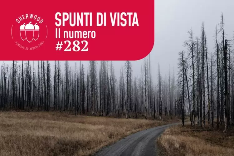 Disturbi naturali in aumento del 122% nei prossimi 80 anni