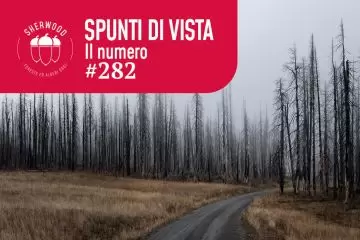 Disturbi naturali in aumento del 122% nei prossimi 80 anni