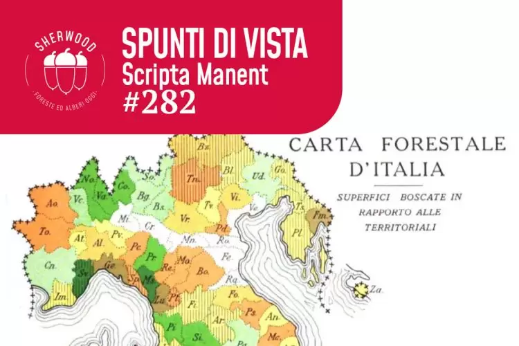 La Carta Forestale del Regno d’Italia del 1936