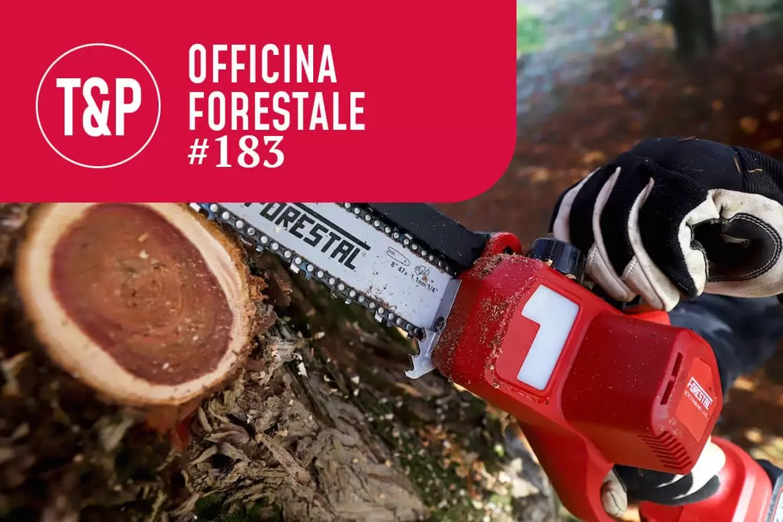 Potatore a batteria FOR 8100