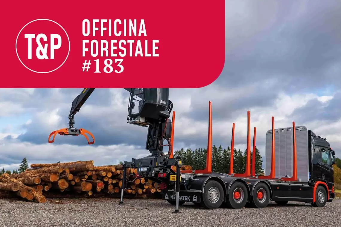 Gru idraulica a braccio articolato BMF per autocarri