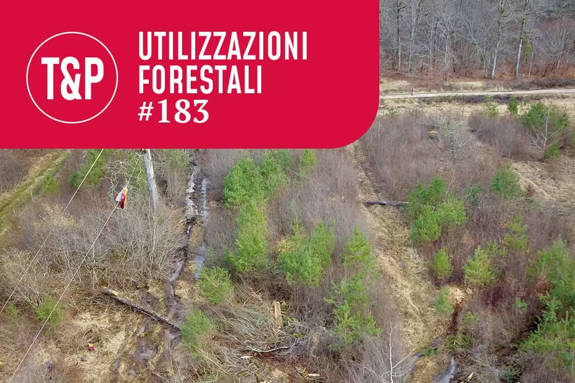 Esbosco con teleferica in terreno pianeggiante. I francesi fanno sul serio