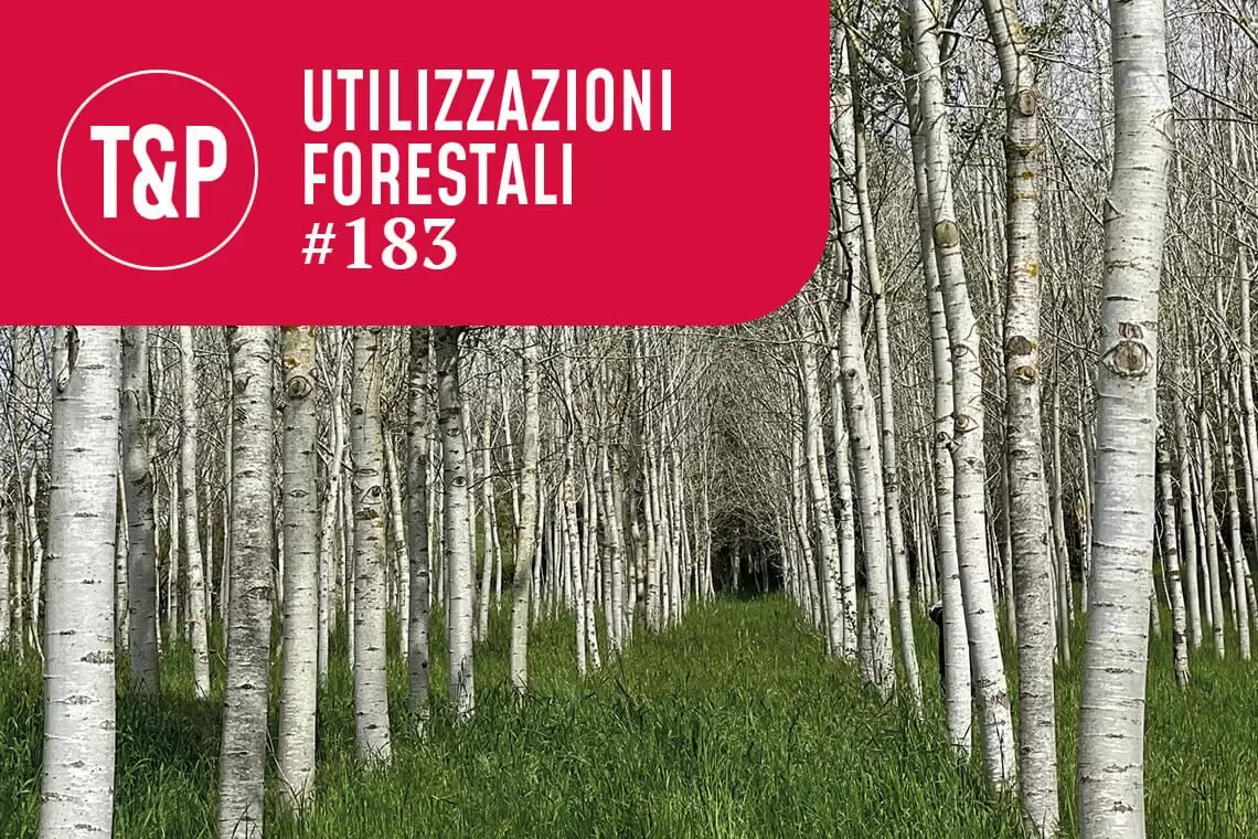 Meccanizzazione nella raccolta del pioppo. Analisi comparativa di sistemi produttivi e dei costi operativi