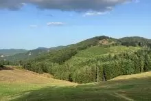 Piano Nazionale di ripristino della natura: un evento ai Georgofili per discutere le proposte della Comunità Scientifica Agraria