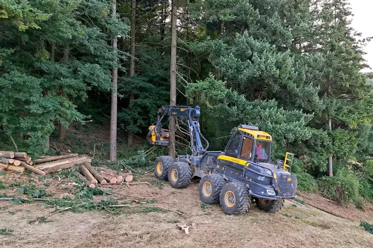 Impiego sostenibile di harvester e forwarder: in Calabria un evento tecnico-formativo con dimostrazioni live