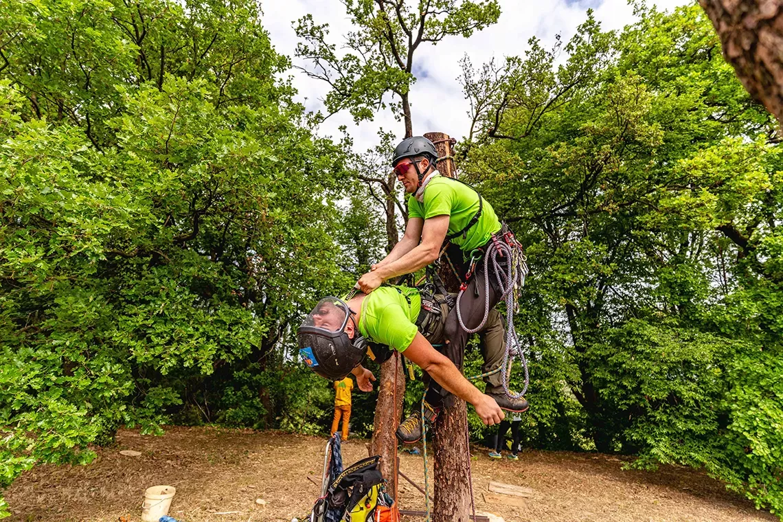 TreeSome: l’importanza di lavorare sicuri in pianta