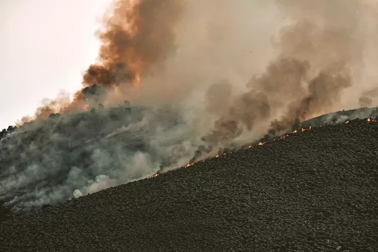 Incendi boschivi ed emissioni climalteranti: una metodologia per quantificare i benefici della selvicoltura di prevenzione
