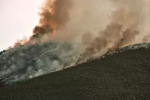 Incendi boschivi ed emissioni climalteranti: una metodologia per quantificare i benefici della selvicoltura di prevenzione