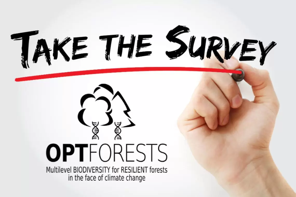 OptFORESTS lancia una consultazione europea per rafforzare la resilienza delle foreste
