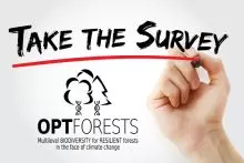 OptFORESTS lancia una consultazione europea per rafforzare la resilienza delle foreste