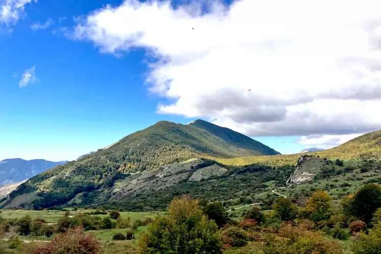 La segheria ambulante del Matese: a Pietraroja per parlare di selvicoltura innovativa, legname locale e filiere