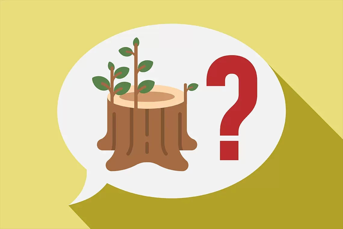 FAQ - Ceduo 360°