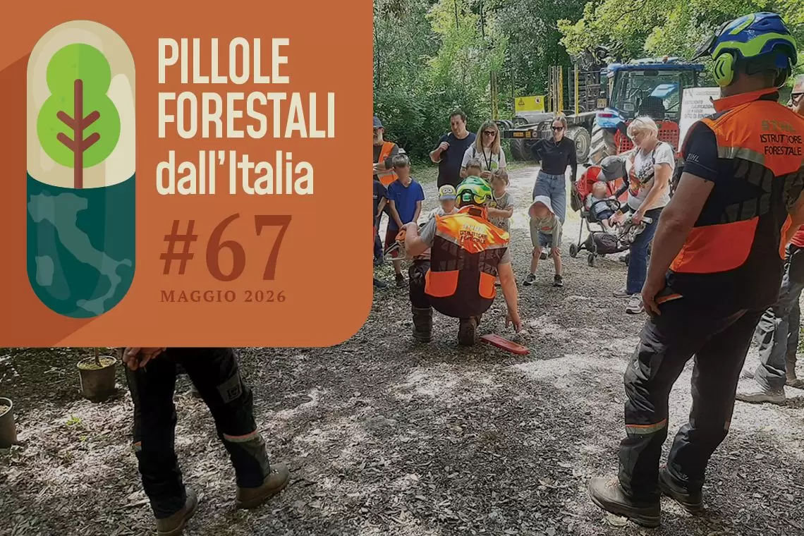 pillole forestali IT 67 - maggio 2026