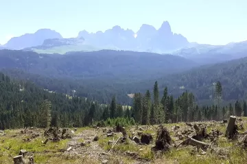 Cambiamento climatico, Vaia, bostrico: quale futuro per le foreste alpine? Due giornate di congresso a Padova