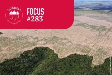 Deforestazione: un tema lontano che ci tocca da vicino