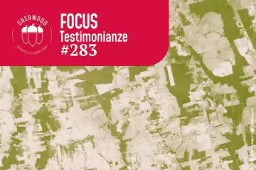EUDR: a che punto siamo?