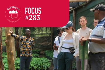 EMMA4EU: creare competenze per filiere deforestation-free