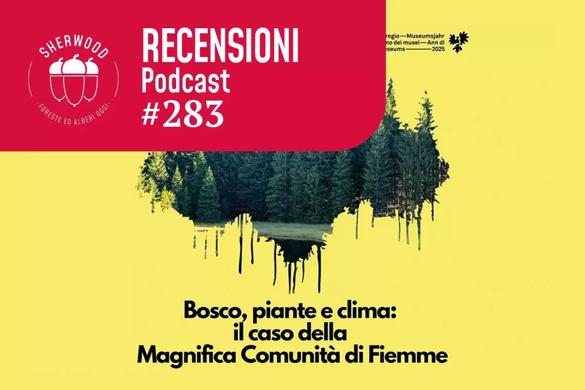 Il podcast della Magnifica Comunità di Fiemme