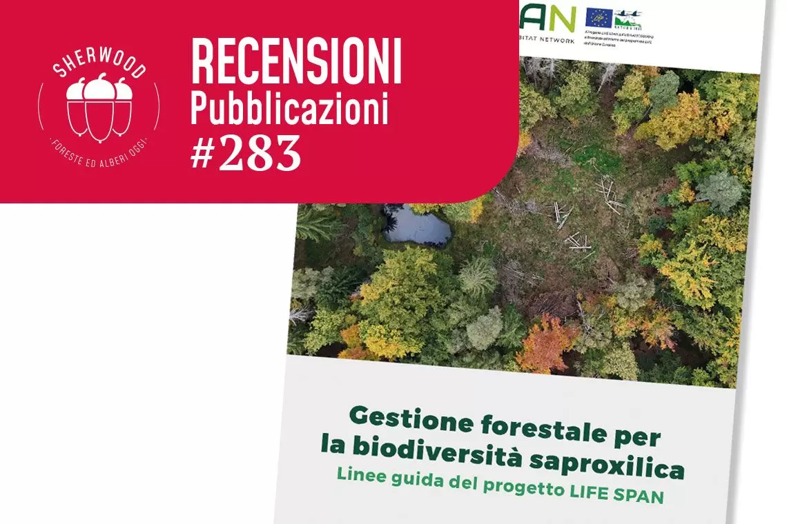 Gestione forestale per la biodiversità: linee guida LIFE SPAN