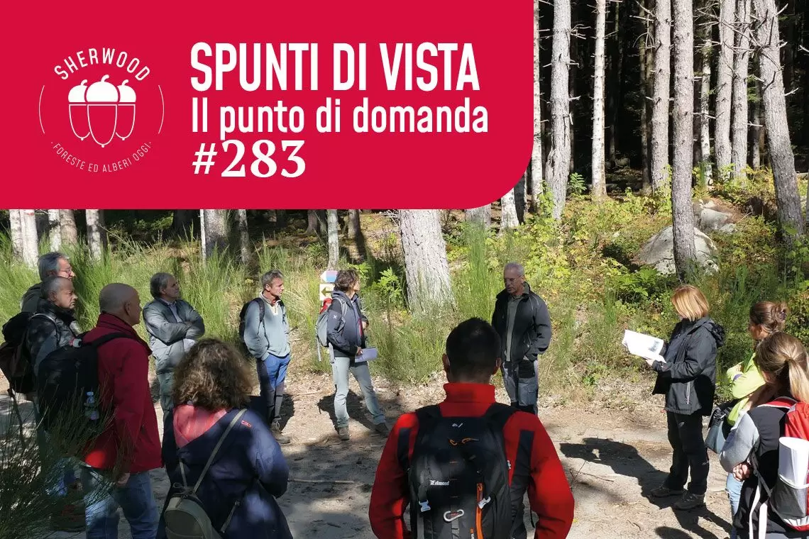 Quale futuro per l’alta formazione tecnica forestale?
