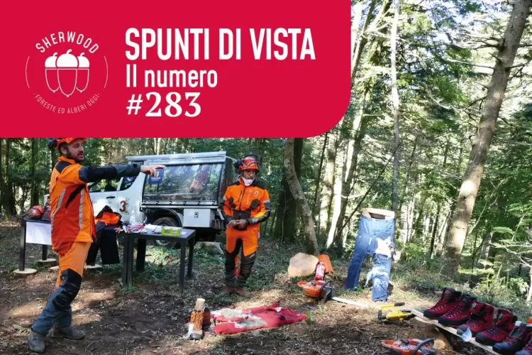 44 nuovi Istruttori forestali con For.Italy 2