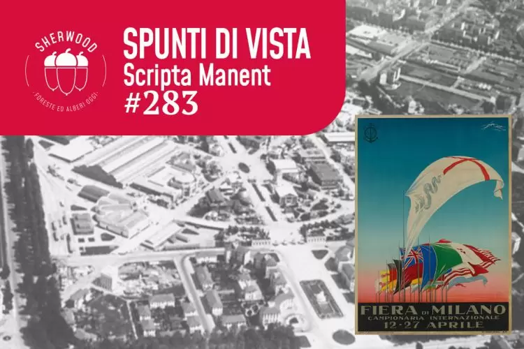 Selvicoltura in mostra: utile ora come nel 1926
