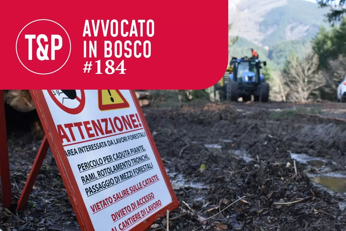 Individuazione del Datore di Lavoro in caso di infortunio