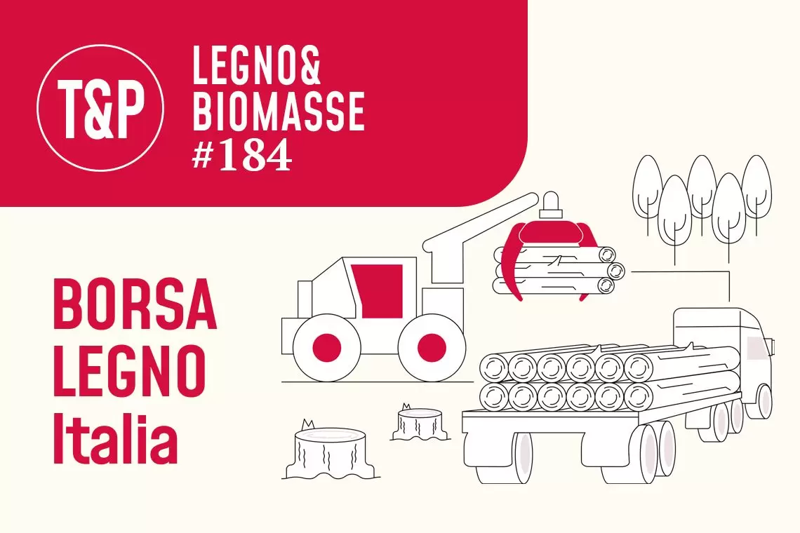 Legname tondo su strada. Lotti venduti in varie zone d'Italia (2025)