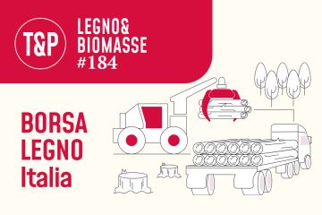 Legname tondo su strada. Lotti venduti in varie zone d'Italia (2025)