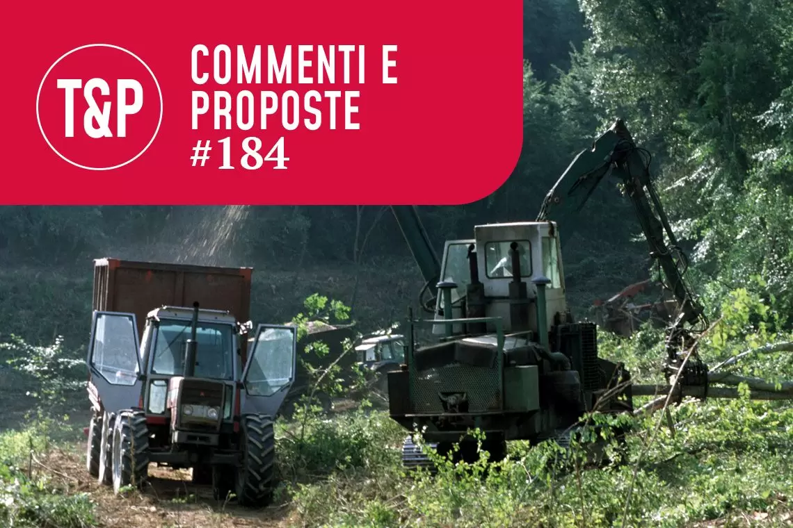 Il travolgente successo delle biomasse