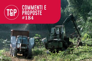 Il travolgente successo delle biomasse