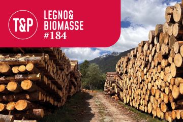 Tra bosco e segheria: dove si costruisce – e si perde – il valore? Il valore del legno si gioca anche nella qualità del dialogo