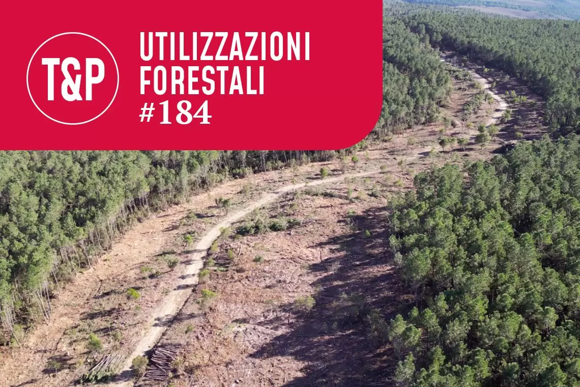Gestione sostenibile dei viali tagliafuoco. Applicazione di un harvester polivalente e comparazione con il sistema tradizionale