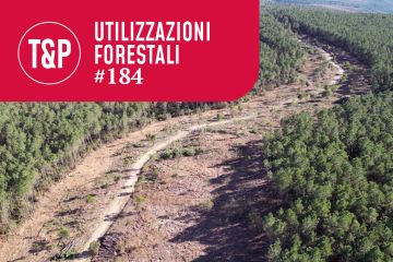Gestione sostenibile dei viali tagliafuoco. Applicazione di un harvester polivalente e comparazione con il sistema tradizionale