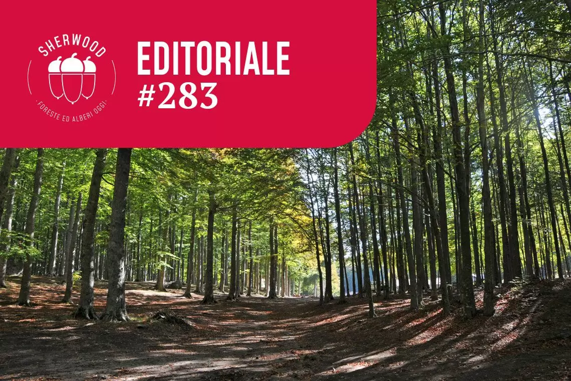 Boschi pubblici e bilancio finanziario: sono incompatibili?