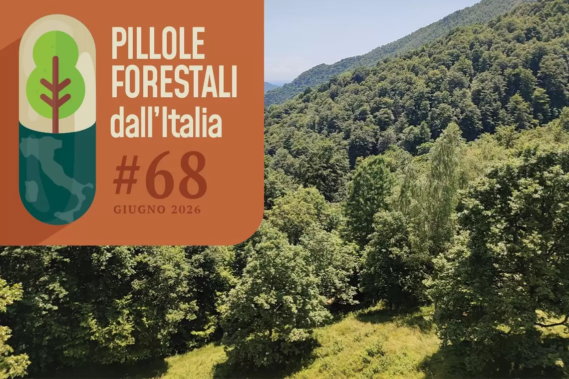 pillole forestali IT 68 - giugno 2026