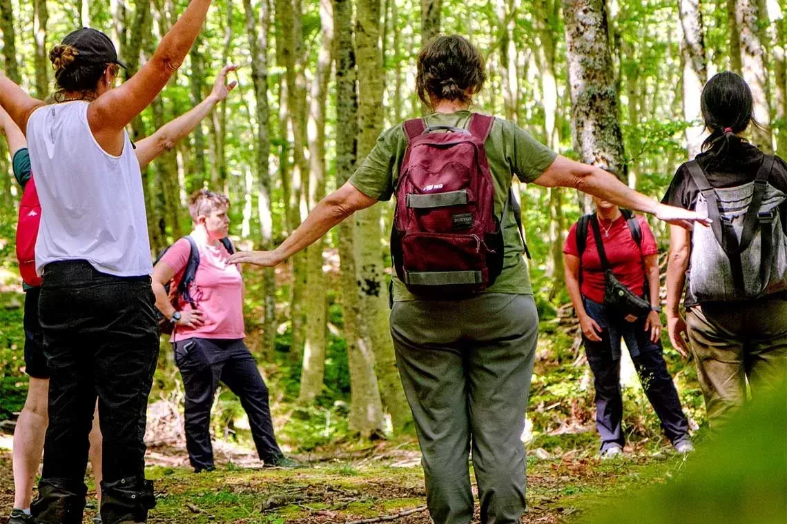 For.Sa.Pro. – Aperte le iscrizioni ai nuovi cicli di terapia forestale gratuiti nella Foresta Modello delle Montagne Fioretine