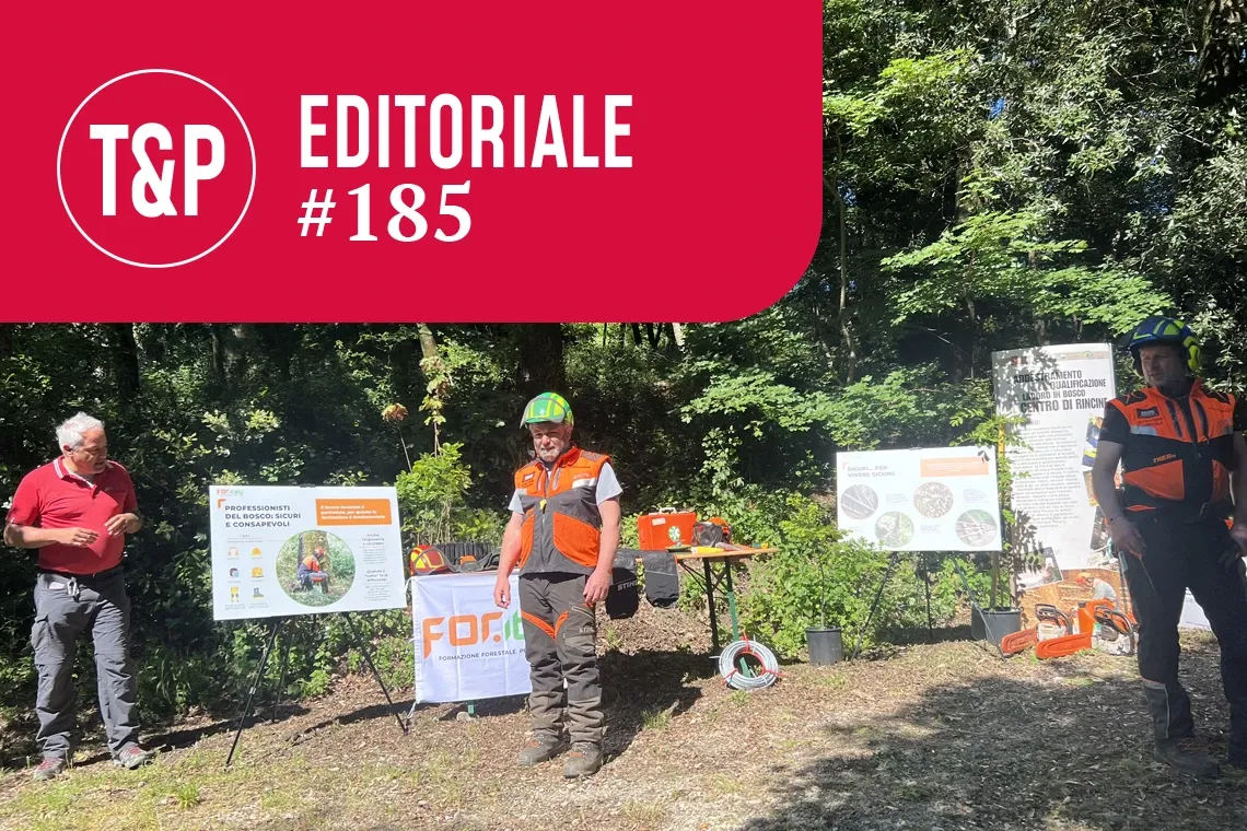 Formazione forestale: un puzzle da completare. È necessario un sistema capace di conciliare gli obblighi formativi con le condizioni economiche organizzative e occupazionali delle imprese forestali