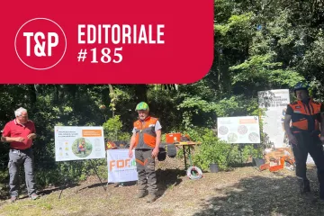 Formazione forestale: un puzzle da completare
